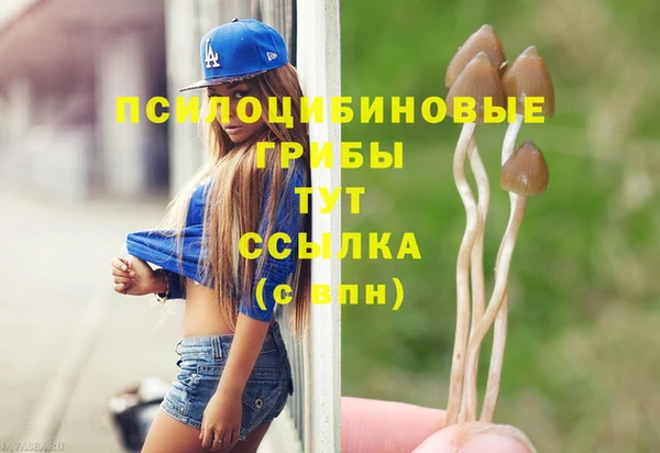 гашишное масло Абаза