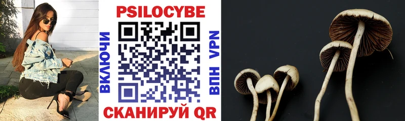 kraken вход  Соликамск  Псилоцибиновые грибы ЛСД 