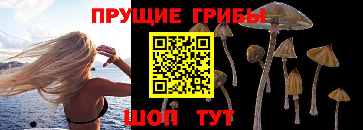 Псилоцибиновые грибы мухоморы  Псилоцибиновые грибы Psilocybine cubensis  Вход с VPN  Соликамск 